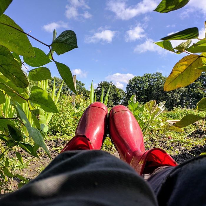 People Are Growing Magical Bean Pole Garden Tents For Their Kids