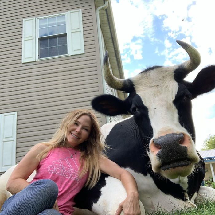 Kind-Hearted Dog Surprises Owner By Comforting The Orphaned Fawns She Rescues