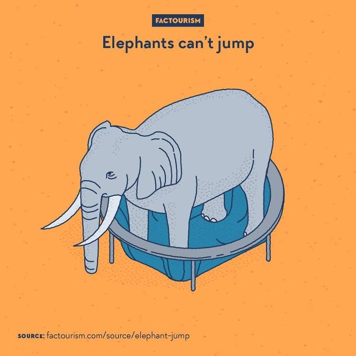 Illustrated-Facts-Factourism