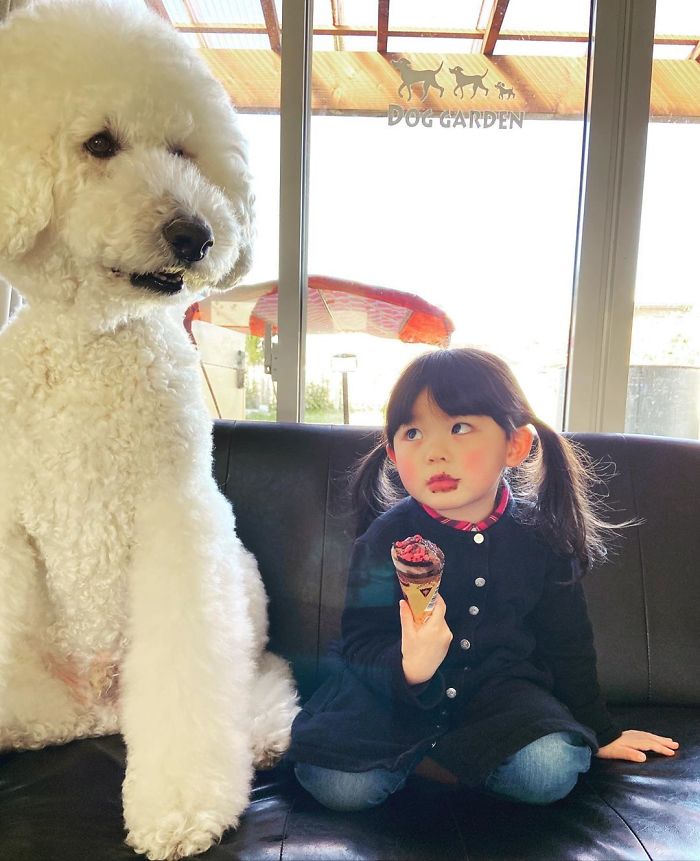 Child-Poodle-Dog-Friendship-Tamanegi-Qoo-Riku