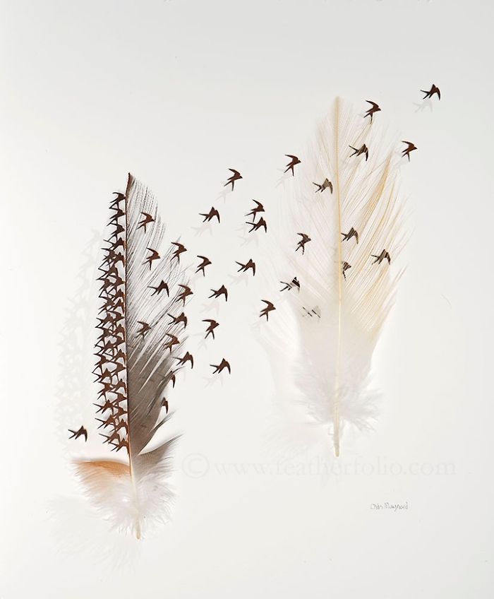 Chris Maynard At Featherfolio Returns With More Feather Carvings
