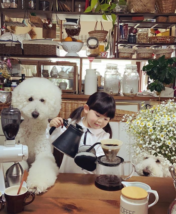 Child-Poodle-Dog-Friendship-Tamanegi-Qoo-Riku