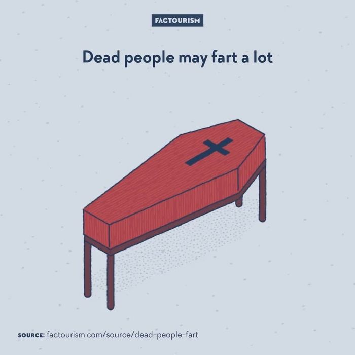 Illustrated-Facts-Factourism