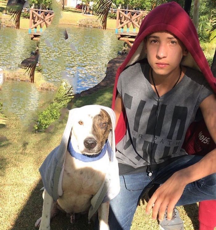 17-Year-Old Opens A Unique Animal Shelter And He Has Already Rescued 22 Dogs And 4 Cats 17-Year-Old Opens A Unique Animal Shelter And He Has Already Rescued 22 Dogs And 4 Cats