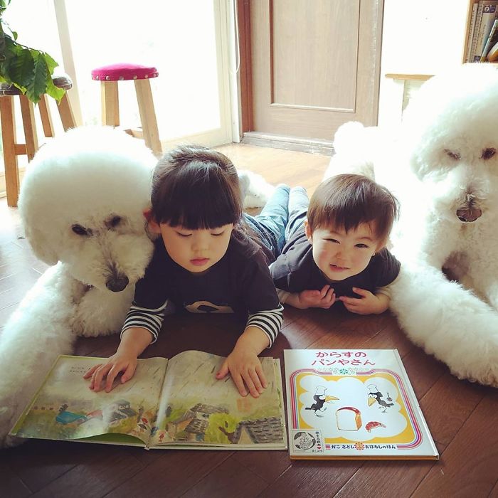 Child-Poodle-Dog-Friendship-Tamanegi-Qoo-Riku