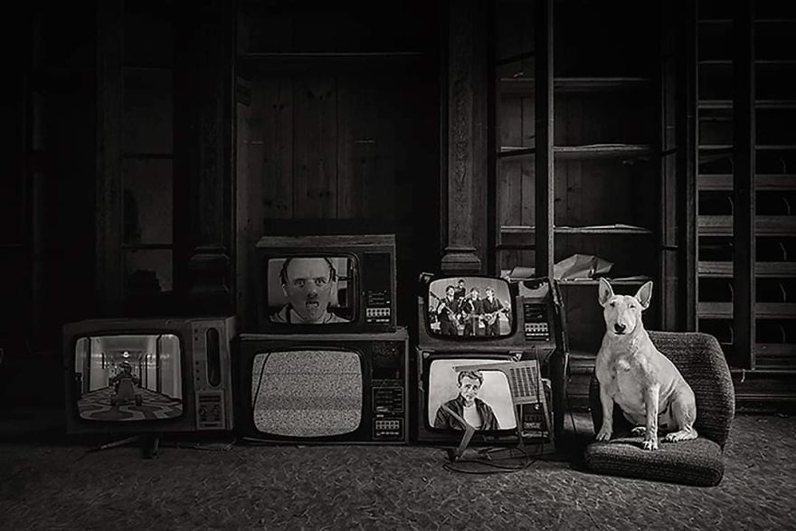 Congratulations, You've Completed Netflix