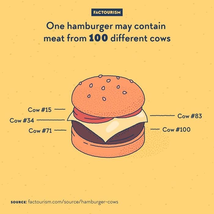 Illustrated-Facts-Factourism