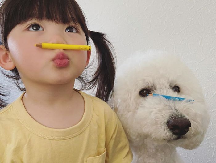 Child-Poodle-Dog-Friendship-Tamanegi-Qoo-Riku