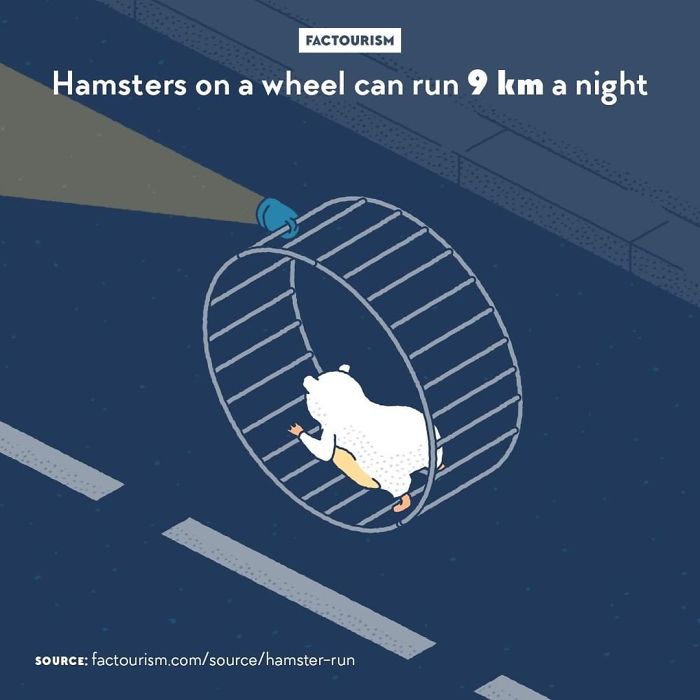 Illustrated-Facts-Factourism