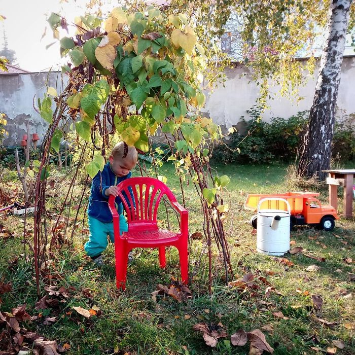 People Are Growing Magical Bean Pole Garden Tents For Their Kids