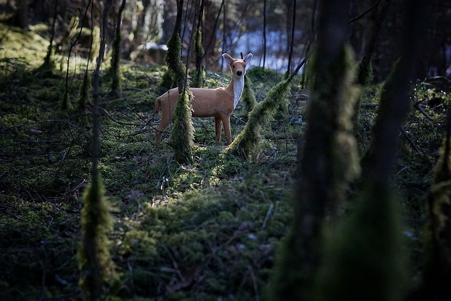 Mother Of 2 Captures The Magic World Of Toys During Quarantine