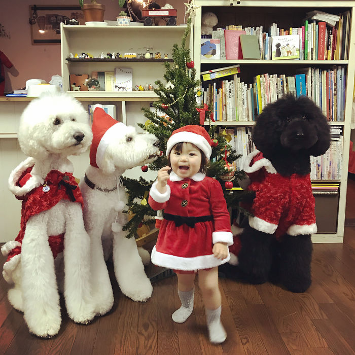 Child-Poodle-Dog-Friendship-Tamanegi-Qoo-Riku