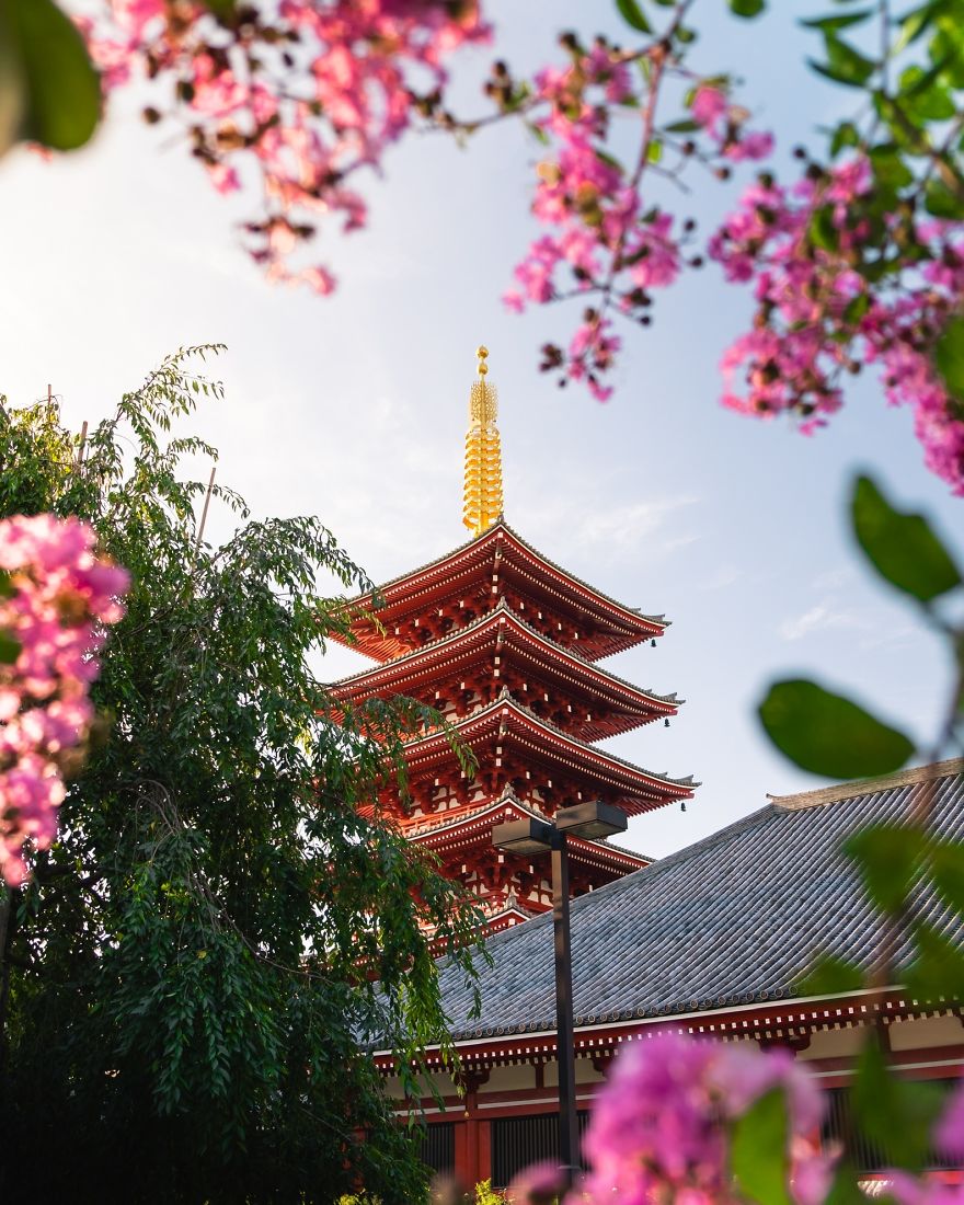 Beautiful Spring Morning In Tokyo