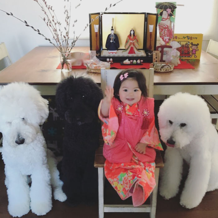 Child-Poodle-Dog-Friendship-Tamanegi-Qoo-Riku