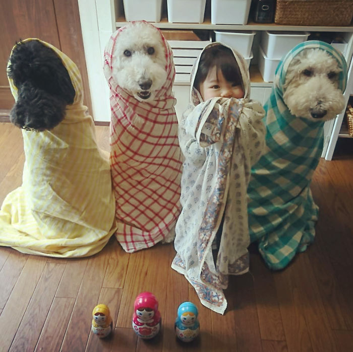 Child-Poodle-Dog-Friendship-Tamanegi-Qoo-Riku