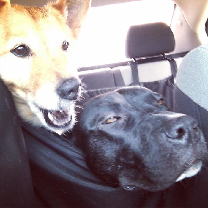 The Face When You Just Woke Up And She’s Already Yelling