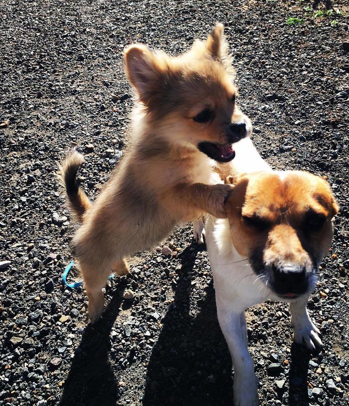 Clearly I’m The Fun Sibling