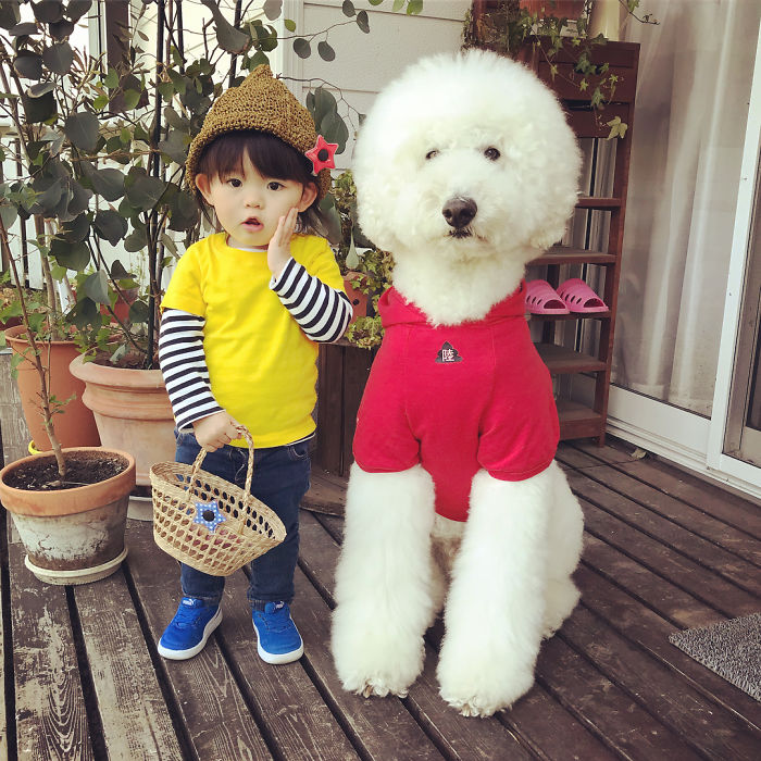 Child-Poodle-Dog-Friendship-Tamanegi-Qoo-Riku