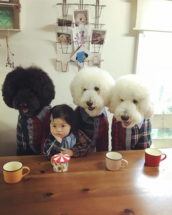 Child-Poodle-Dog-Friendship-Tamanegi-Qoo-Riku