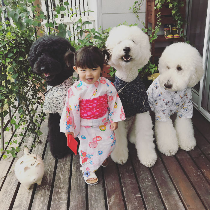 Child-Poodle-Dog-Friendship-Tamanegi-Qoo-Riku