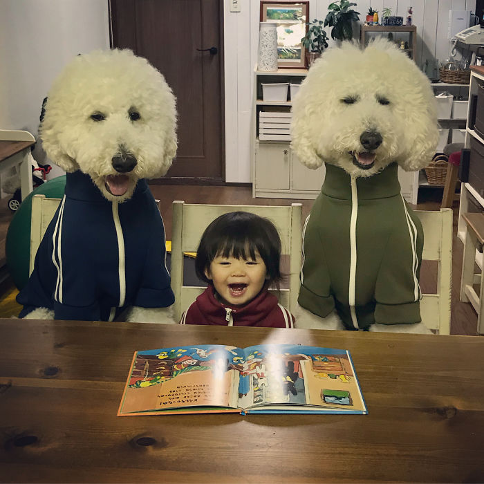 Child-Poodle-Dog-Friendship-Tamanegi-Qoo-Riku