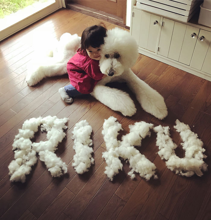 Child-Poodle-Dog-Friendship-Tamanegi-Qoo-Riku