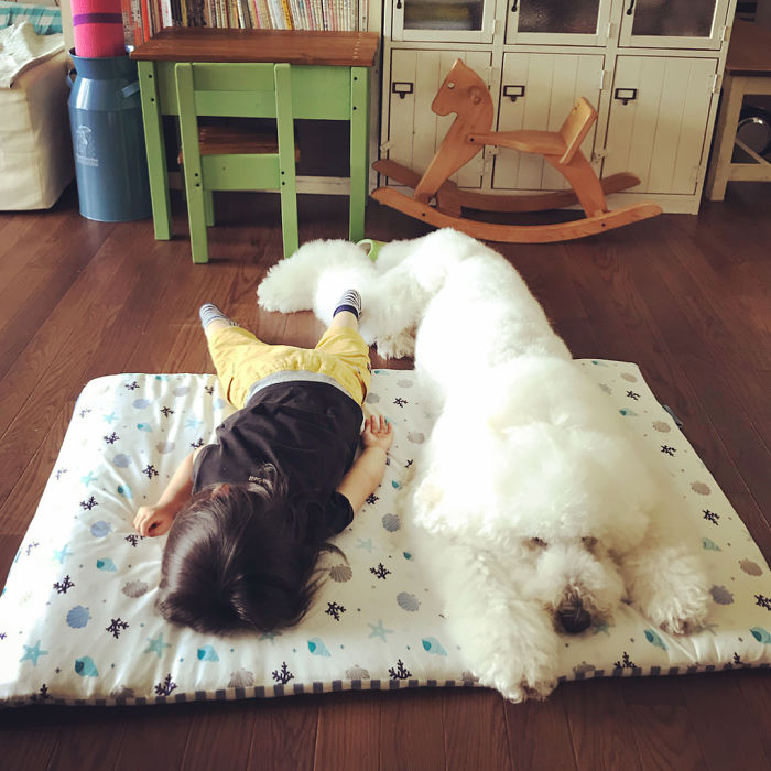Child-Poodle-Dog-Friendship-Tamanegi-Qoo-Riku