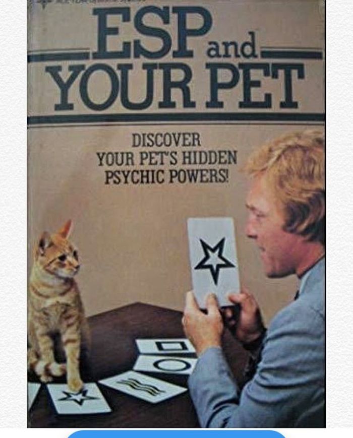 Psychic Pets
