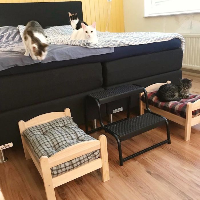 IKEA-Doll-Beds-For-Cats