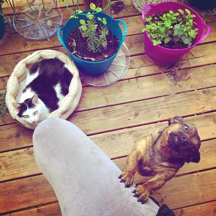 Definitely Siblings. “Muuum! He’s In My Bed!”