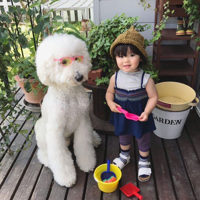 Child-Poodle-Dog-Friendship-Tamanegi-Qoo-Riku