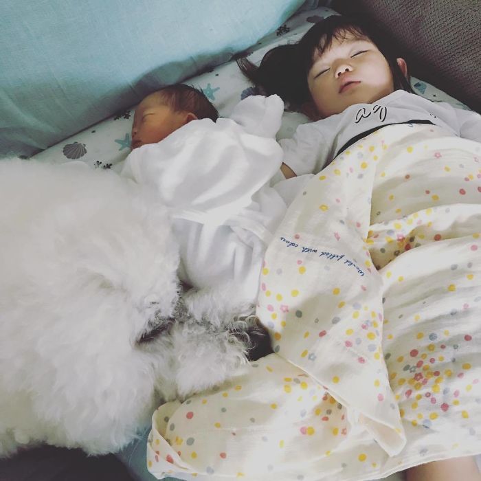 Child-Poodle-Dog-Friendship-Tamanegi-Qoo-Riku