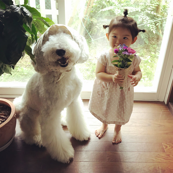 Child-Poodle-Dog-Friendship-Tamanegi-Qoo-Riku
