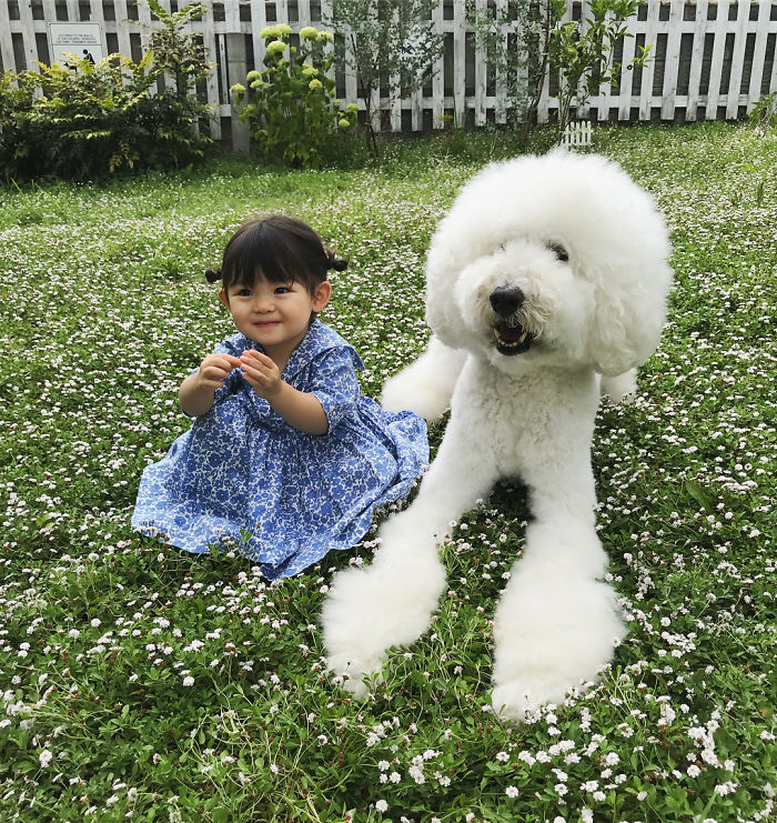 Child-Poodle-Dog-Friendship-Tamanegi-Qoo-Riku