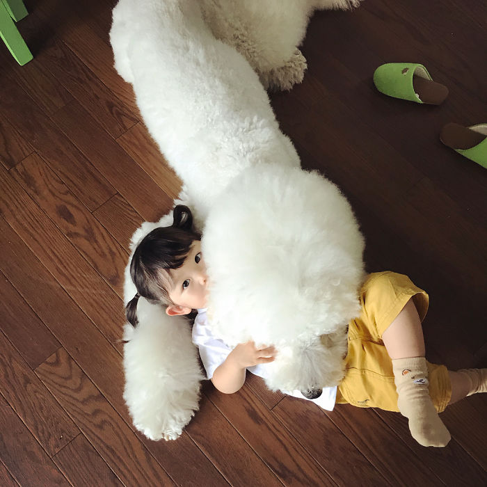 Child-Poodle-Dog-Friendship-Tamanegi-Qoo-Riku