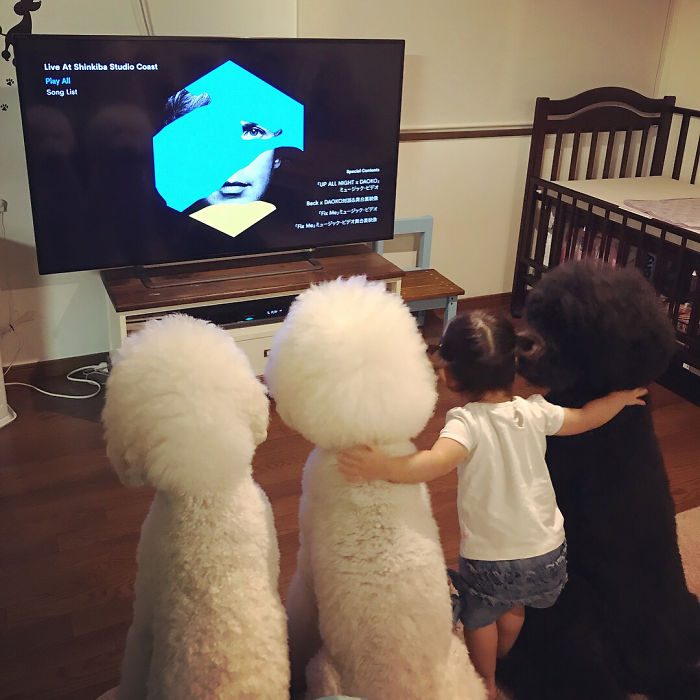 Child-Poodle-Dog-Friendship-Tamanegi-Qoo-Riku