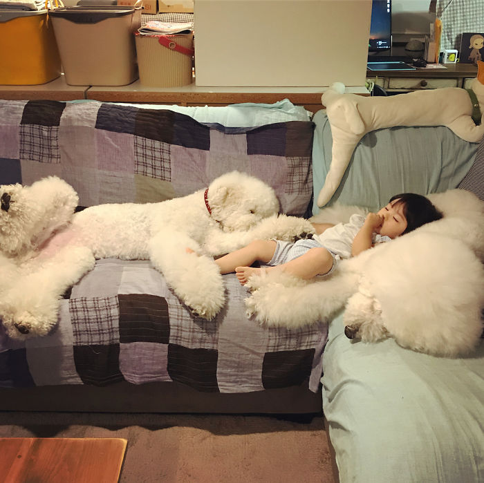 Child-Poodle-Dog-Friendship-Tamanegi-Qoo-Riku