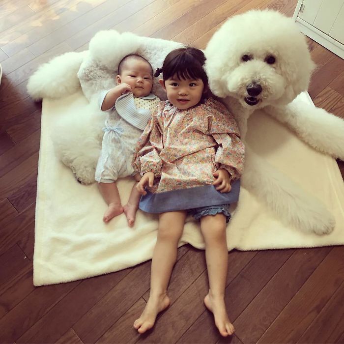 Child-Poodle-Dog-Friendship-Tamanegi-Qoo-Riku