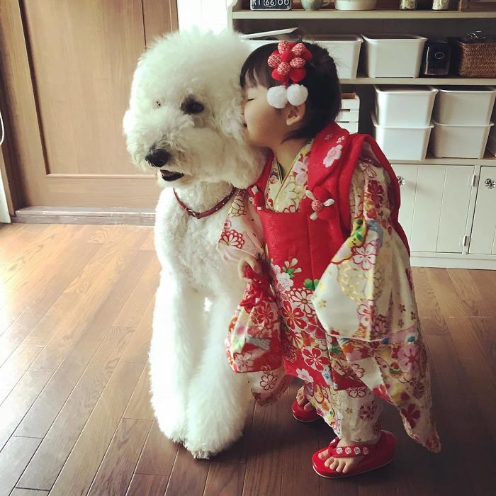 Child-Poodle-Dog-Friendship-Tamanegi-Qoo-Riku
