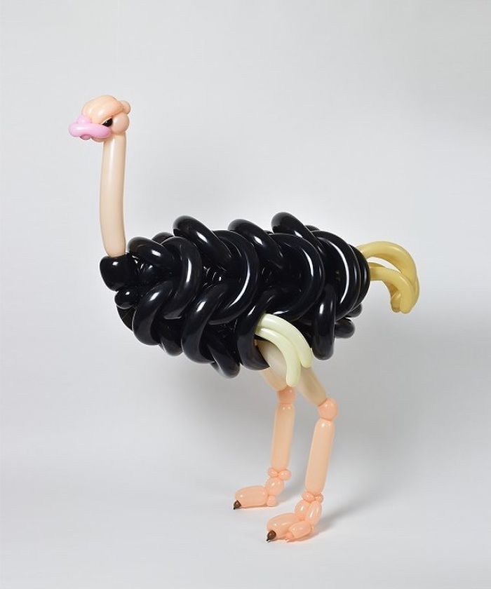 Ostrich