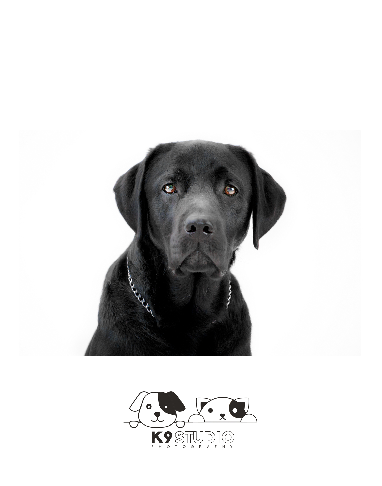 The Black In The Syndrome