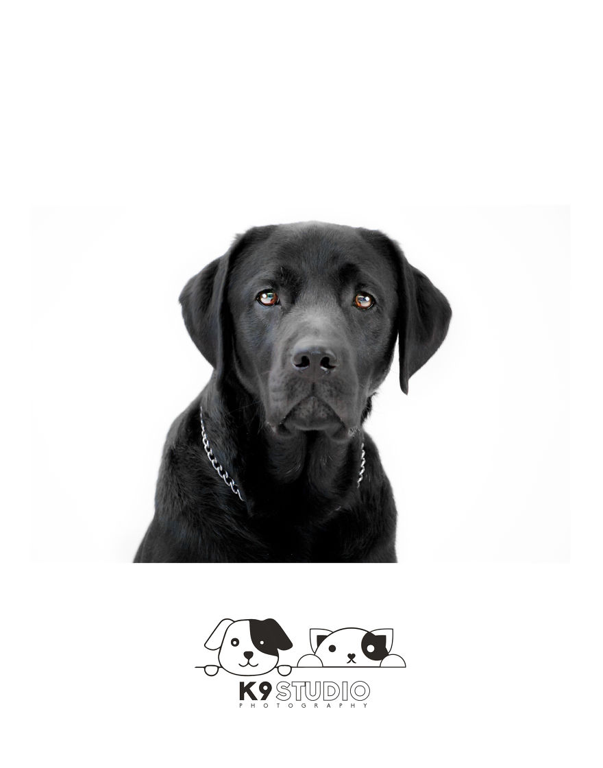 The Black In The Syndrome The Black In The Syndrome