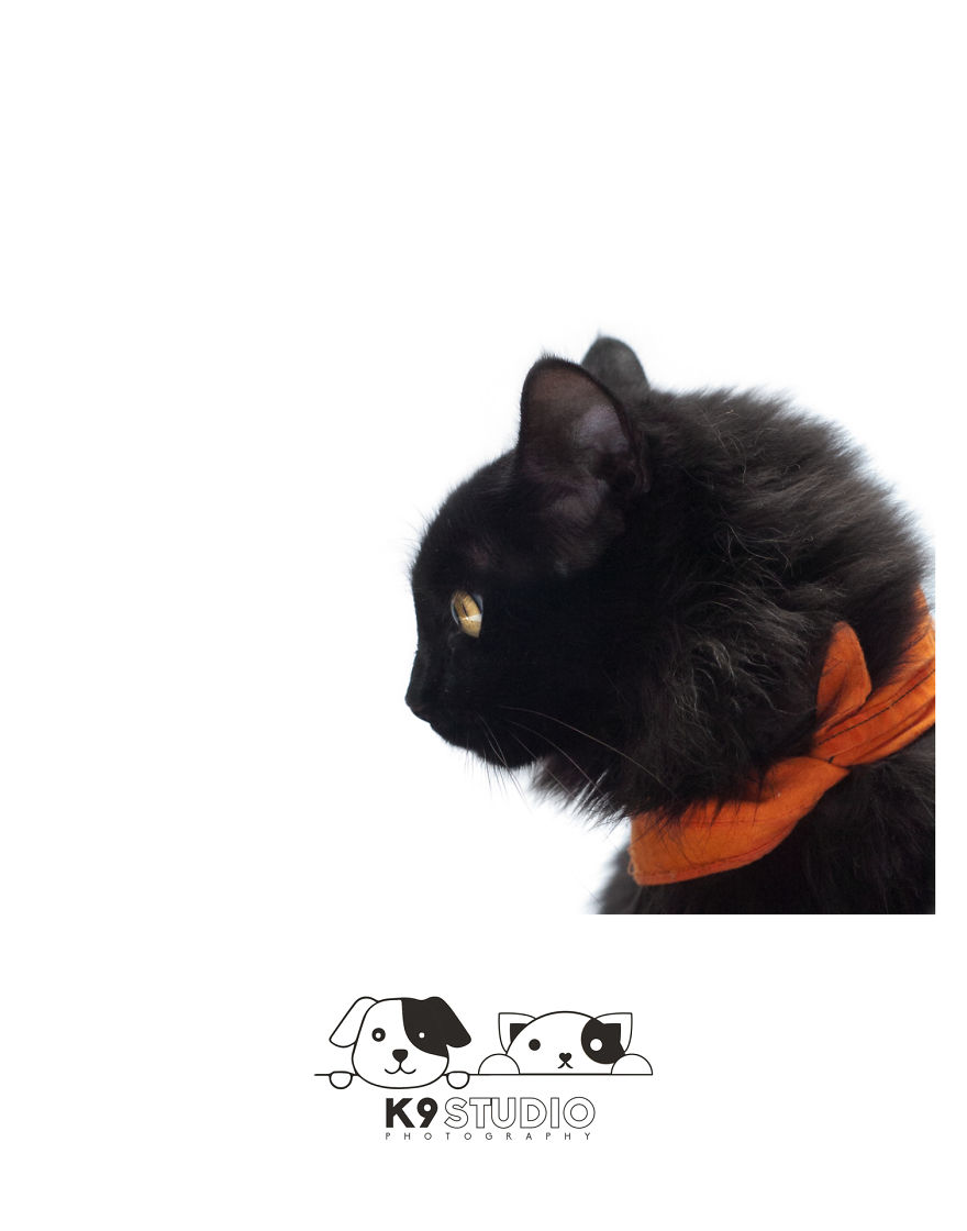 The Black In The Syndrome