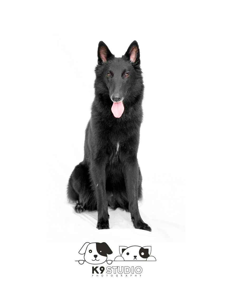 The Black In The Syndrome