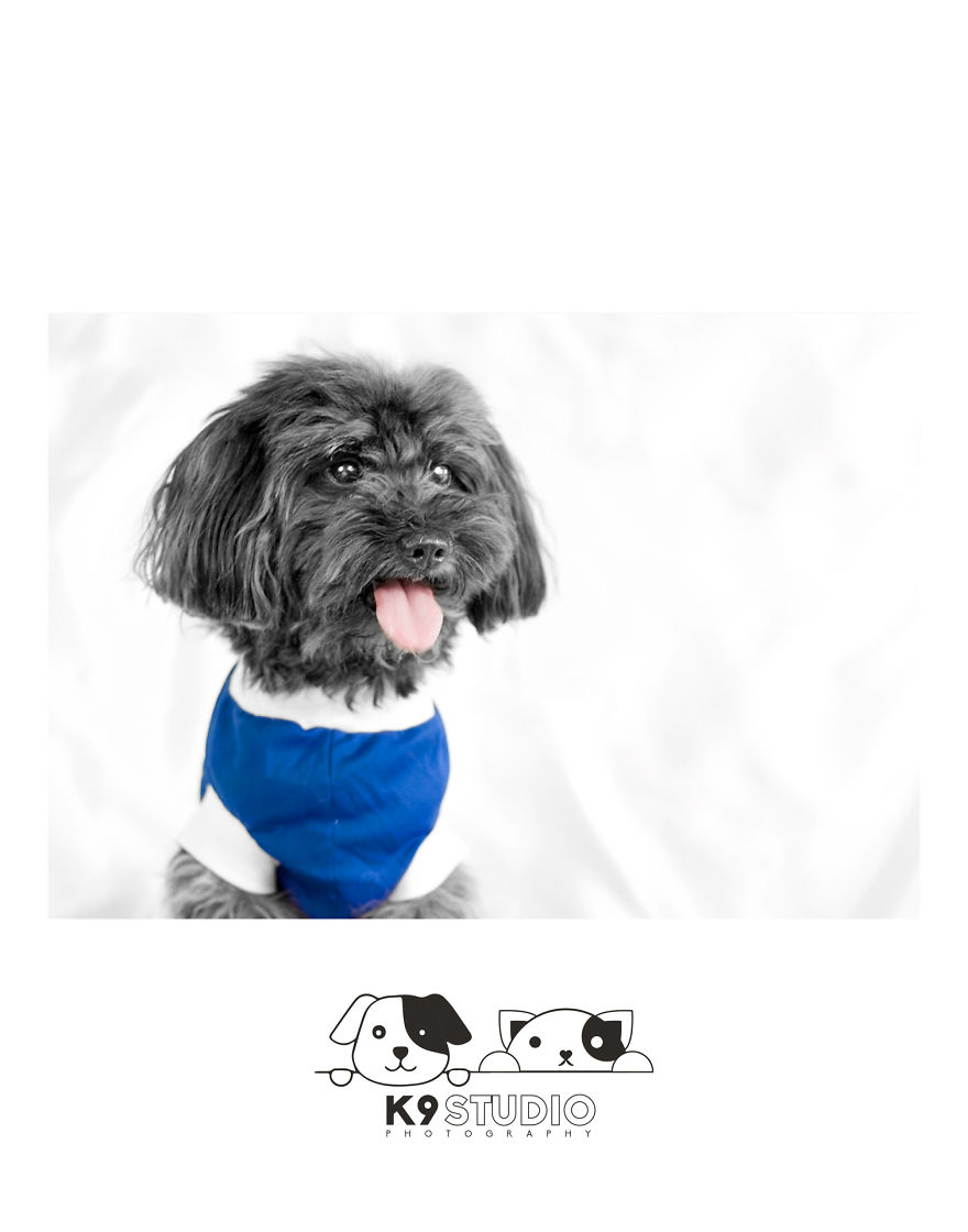 The Black In The Syndrome