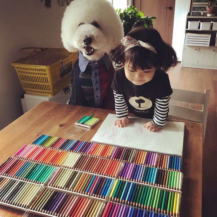 Child-Poodle-Dog-Friendship-Tamanegi-Qoo-Riku