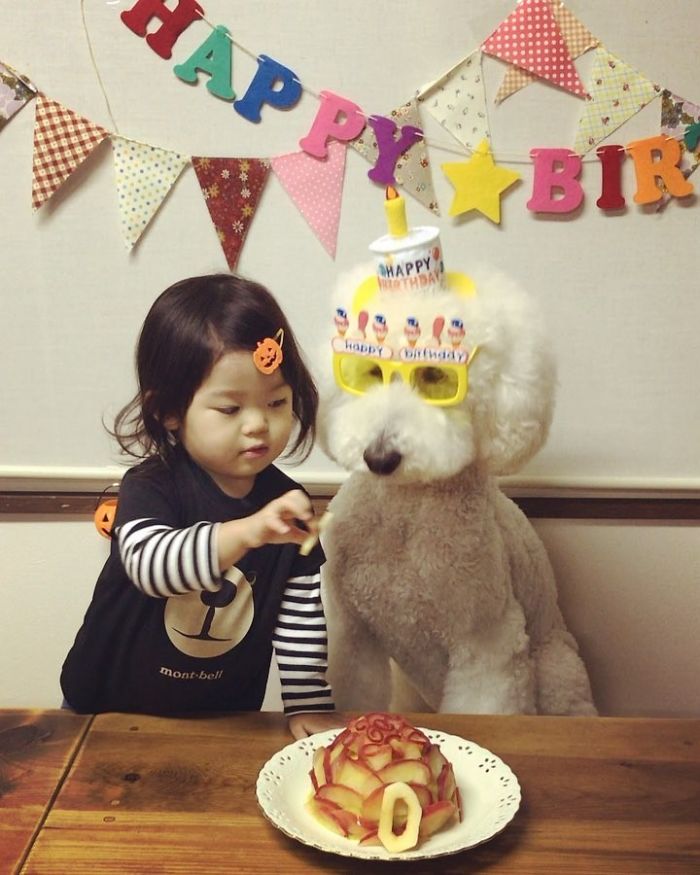 Child-Poodle-Dog-Friendship-Tamanegi-Qoo-Riku