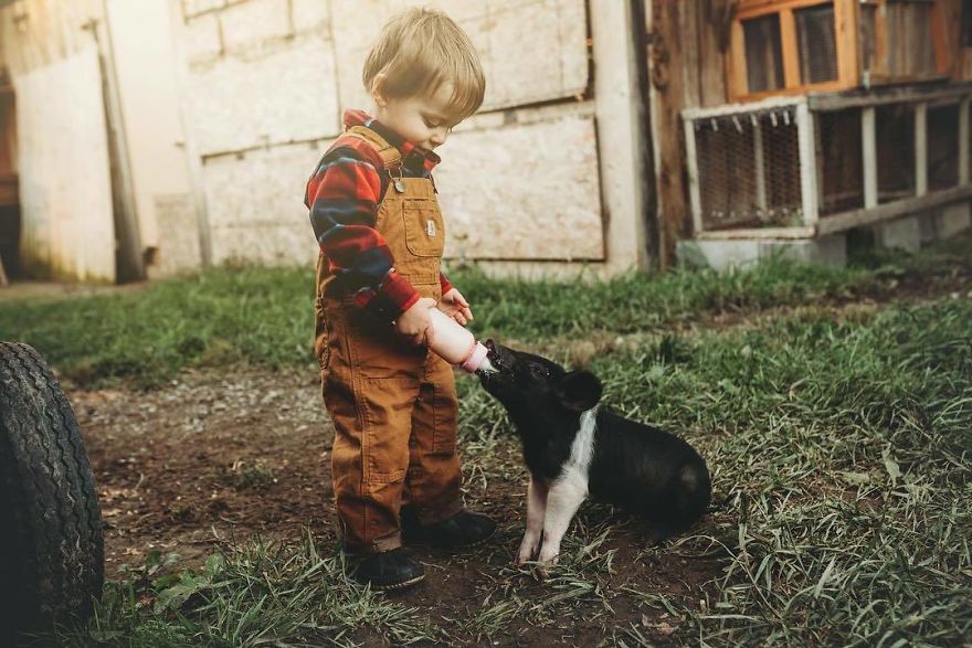 I Capture Children With Animals And Create Magical Moments.
