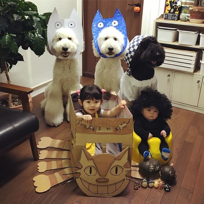 Child-Poodle-Dog-Friendship-Tamanegi-Qoo-Riku