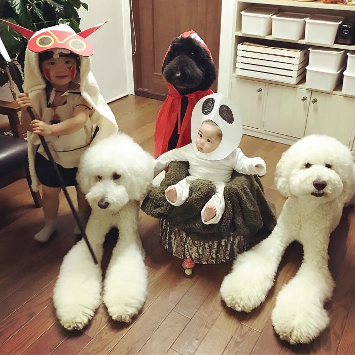 Child-Poodle-Dog-Friendship-Tamanegi-Qoo-Riku